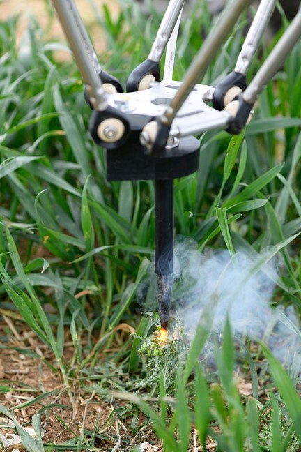 delta robot weeding