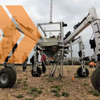 delta robot weeder