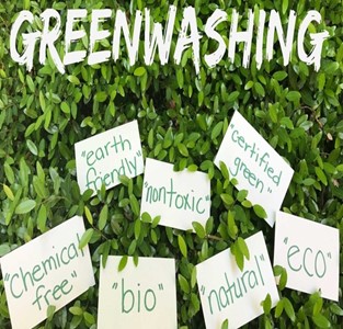 greenwashing and terms surrounding it