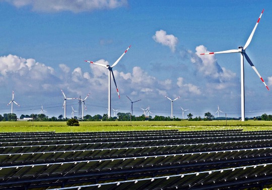 wind turbines in a field with solar panels on the ground