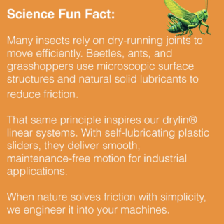 science fun fact linking dry-running aspects in nature to linear bearings