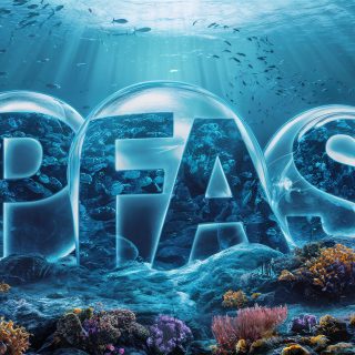 PFAS written in bubbles in the ocean