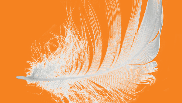 feather