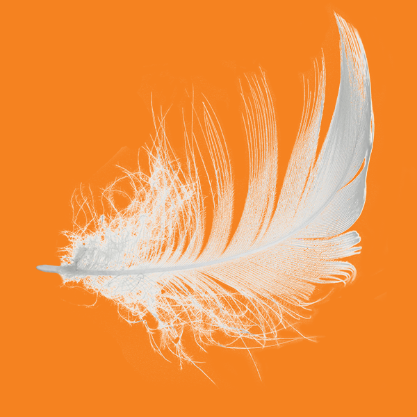 feather on orange background to indicate lightweight