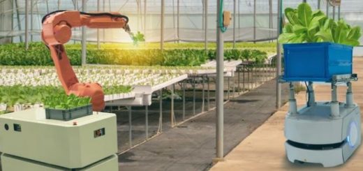 robot arm in greenhouse at an indoor farm