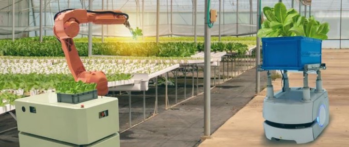 robot arm in greenhouse at an indoor farm