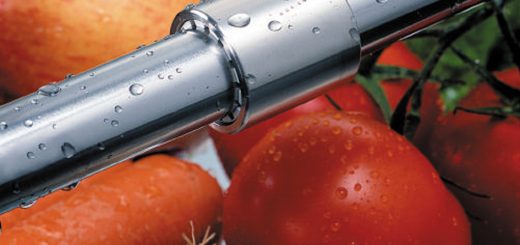 igus linear guide around food like tomato, carrot and onion