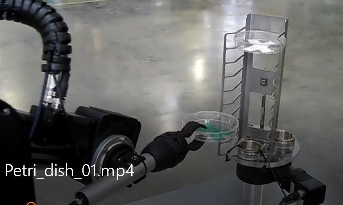 Robotic arm with petri dish handler end effector